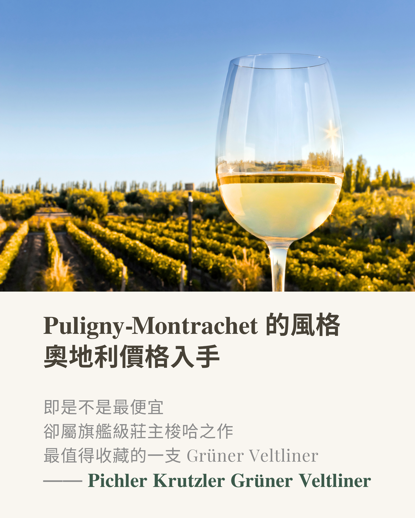 Puligny-Montrachet 的風格 奧地利的價格入手