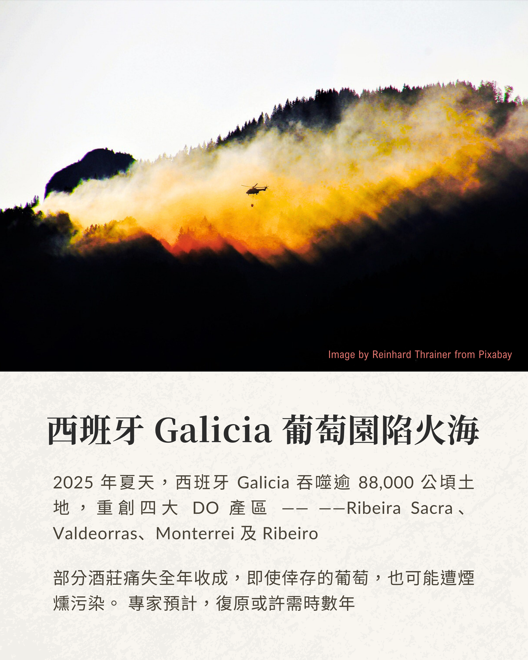 西班牙 Galicia 葡萄園陷火海