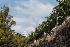 奧地利明日之星 - Pichler Krutzler Gruner Veltliner "Durnstein" 2018 (RP:89) 配南翔小籠包