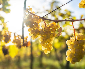 Trimbach 'Clos Sainte Hune' Riesling 2018 (RP: 99+, Wine Enthusiast: 95)