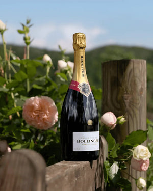 Champagne Bollinger Special Cuvee (JS: 93, RP: 92) (Online Special)