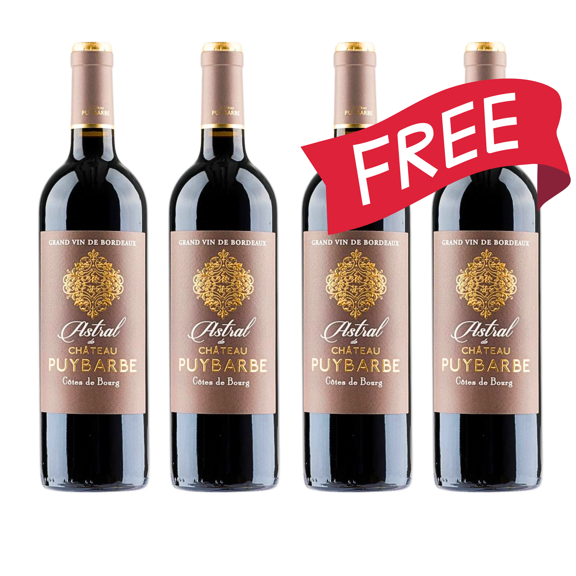 買二送二 Buy 2 Get 2 Free Château Puybarbe Astral de Château Puybarbe 2020 (Decanter: 90, HVE 3)