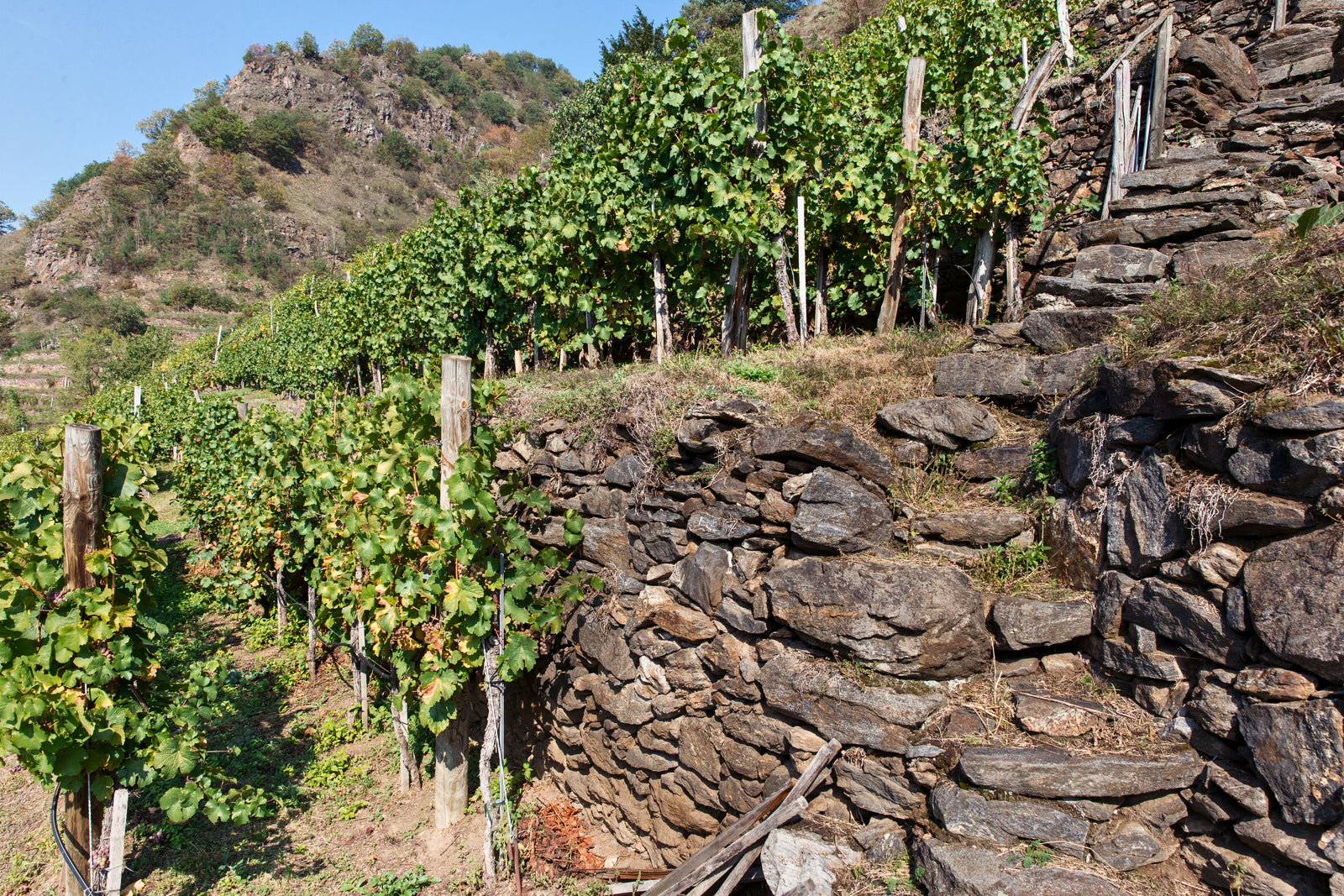Pichler-Krutzler Riesling "In der Wand" 2014