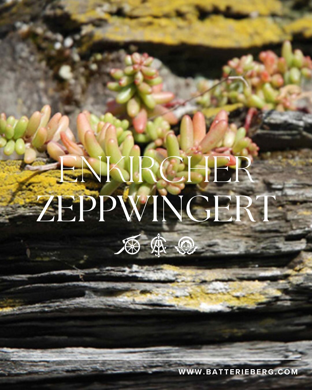 Mosel經典Cru（超過100年老樹，無接枝） - Weingut Immich-Batterieberg "Enkircher Zeppwingert" Riesling 2018 (JS:95)