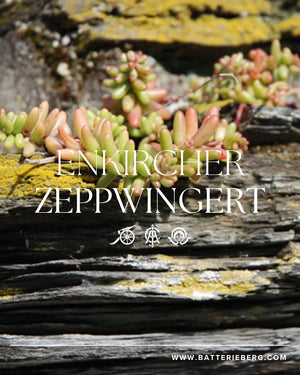 Mosel經典Cru（超過100年老藤，無接枝） - Weingut Immich-Batterieberg "Enkircher Zeppwingert" Riesling 2018 (JS:95)