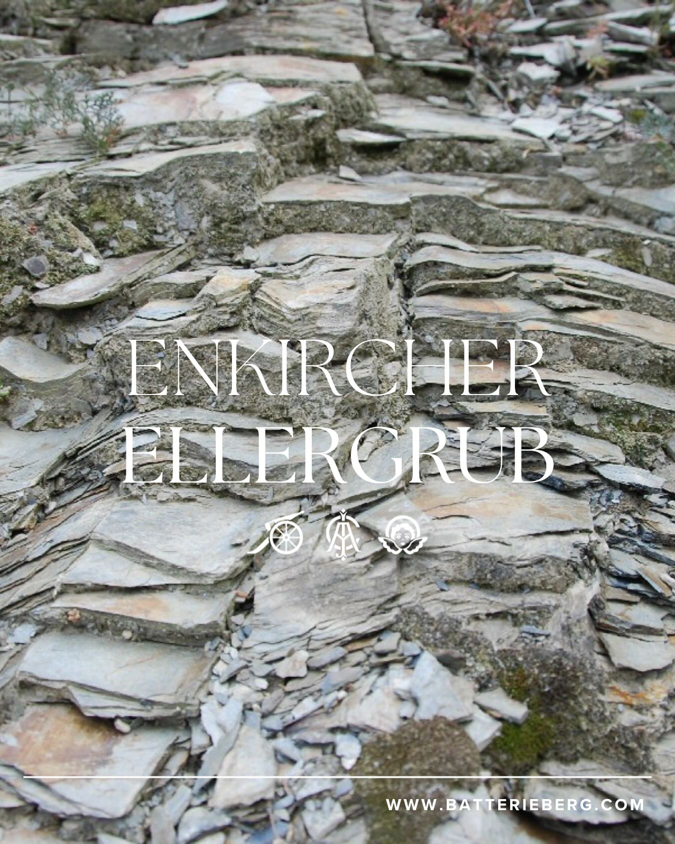 Mosel經典藍板岩Cru（80年老樹，無接枝） - Weingut Immich-Batterieberg "Enkircher Ellergrub" Riesling 2016 (RP:92, JS:96)