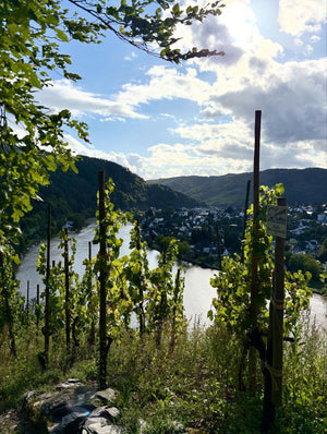 包含Batterieberg Cru 80年無接枝老樹混釀 - Weingut Immich-Batterieberg "Escheburg" Riesling 2018 (RP: 92+)
