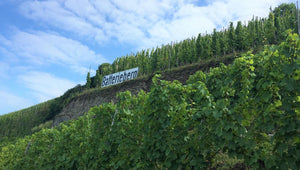 包含Batterieberg Cru 80年無接枝老樹混釀 - Weingut Immich-Batterieberg "Escheburg" Riesling 2018 (RP: 92+)