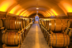 迦南美地小野馬 2022  Kanaan Wild Pony Red 2022 (JS: 89)