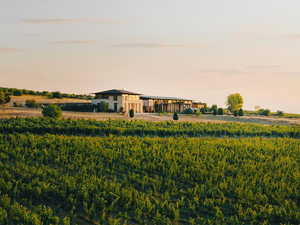 波爾多『加菲貓』莊主保加利亞出品 - Domaine Bessa Valley Enira 2019