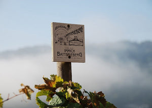 Mosel經典Cru （超過100年老藤，無接枝） - Weingut Immich-Batterieberg "Enkircher Zeppwingert" Riesling 2020 (RP:98)