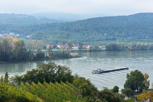 奧地利明日之星 - Pichler-Krutzler Riesling "Ried Pfaffenberg" Alte Reben 2021 (Old Vines) (RP:92)
