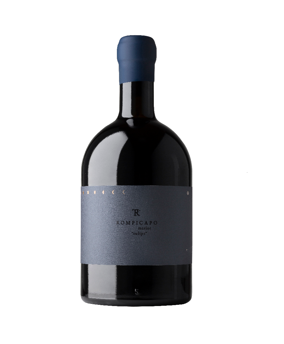Italo Cescon Tesirare Rompicapo Merlot "Tulipe" 2019 (Organic Wine)