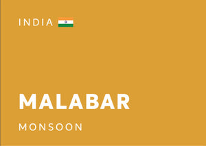 [SENS.COFFEE] INDIA 印度 | Malabar | Monsoon 風漬