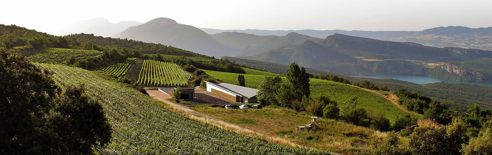 Castell d' Encus Club E Albarino 2013