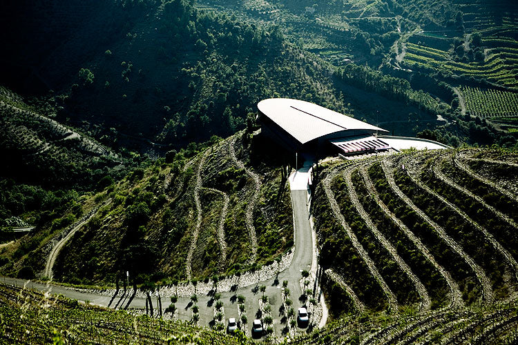 神之水滴『十一門徒 夕陽』的入門版 － Ferrer Bobet Vinyes Velles 2012 (RP:93)